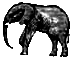 surreal elephant