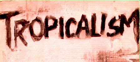 Tropicalism, book cover, top half