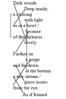 Quote from Rakosi poem with diagram lines