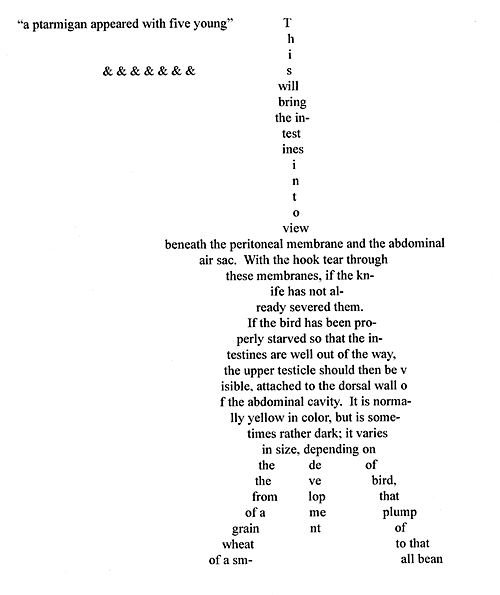 GIF image of Ptarmigan poem