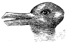 Duck or Rabbit?